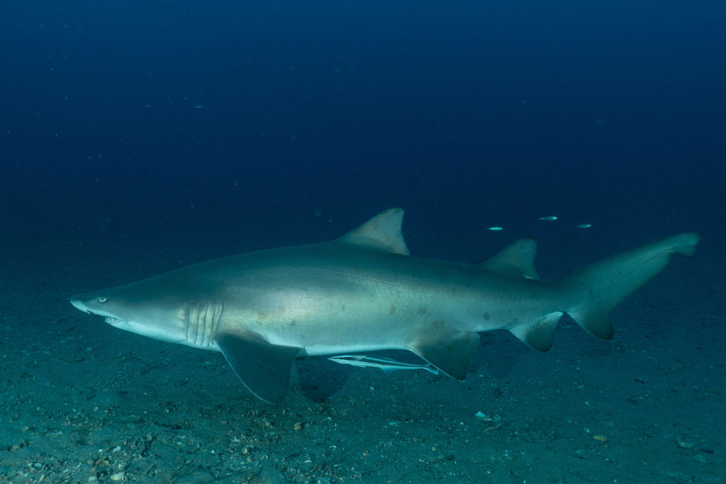 13510b77-5c05-421e-8383-67783e2cd79a