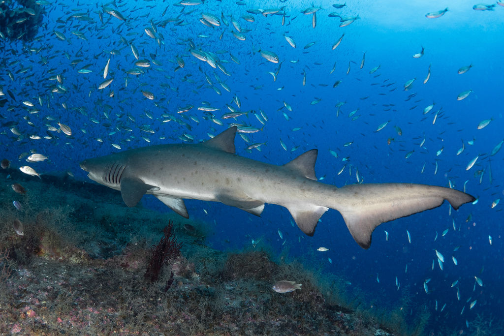 23b12639-14f4-4662-bf98-2e717e8db1f6