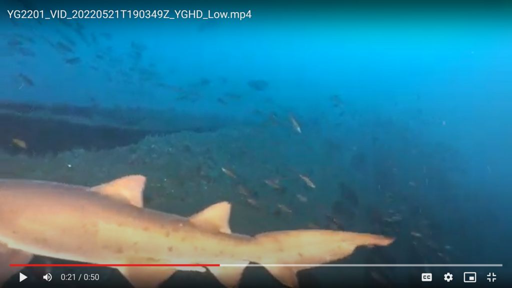 fd4dc982-e14a-4004-9746-ede75bb8319a