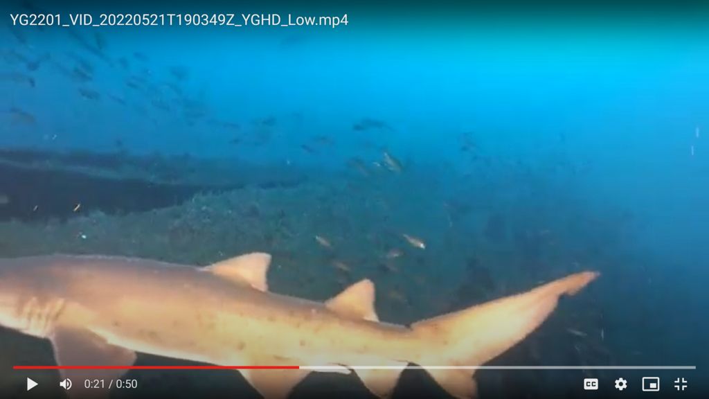 fd4dc982-e14a-4004-9746-ede75bb8319a