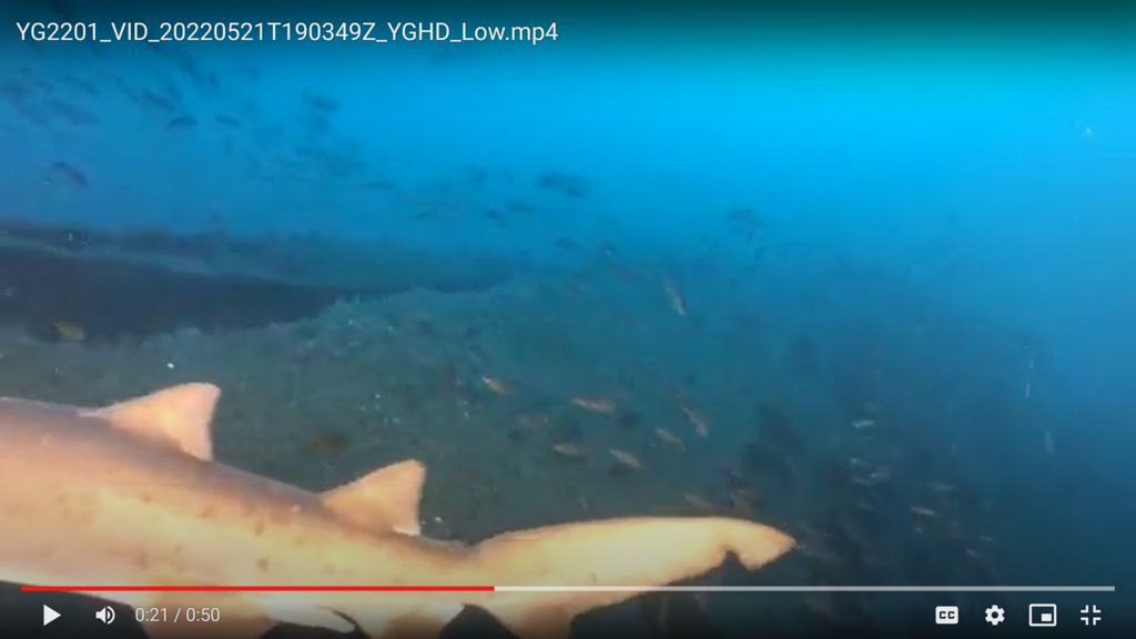 fd4dc982-e14a-4004-9746-ede75bb8319a