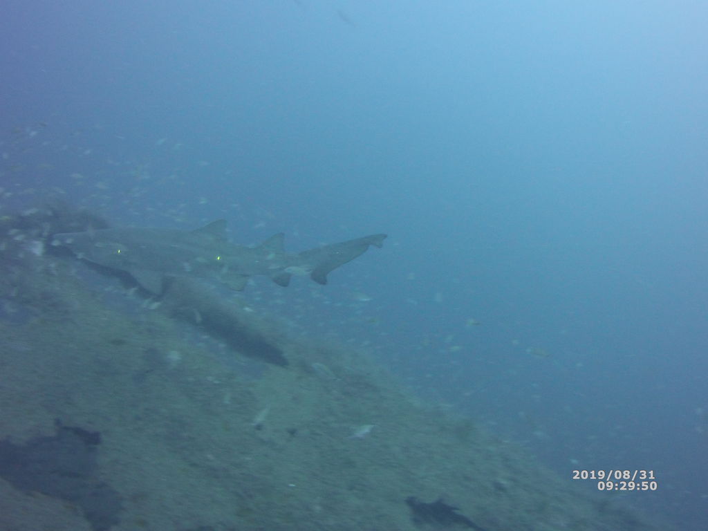 4eaa0d19-ad74-4bb6-826c-fdb794f72445