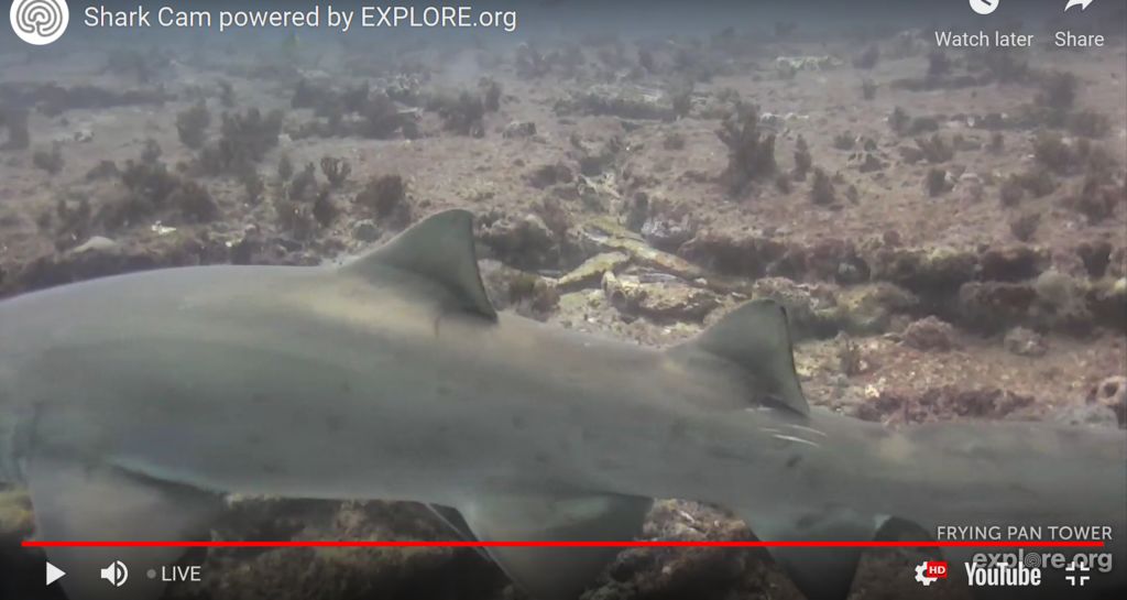 7112bf54-4fcc-44ba-a738-cc34e0c7f399