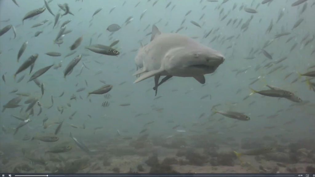 fc681836-42bc-4c0a-b418-1623a68666af