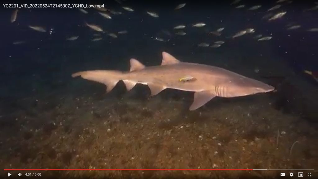 9349a688-3118-4b5e-ad9c-28251208563b