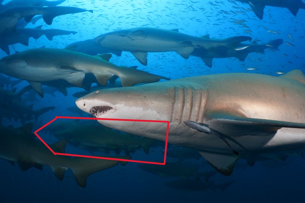 2e3dd68c-91ea-4778-812a-3b3d7c373751