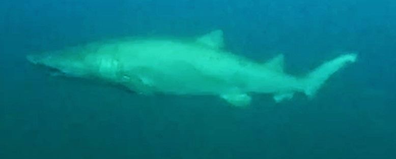 d1def4f8-b3f3-4c98-a79d-7ec74622c014