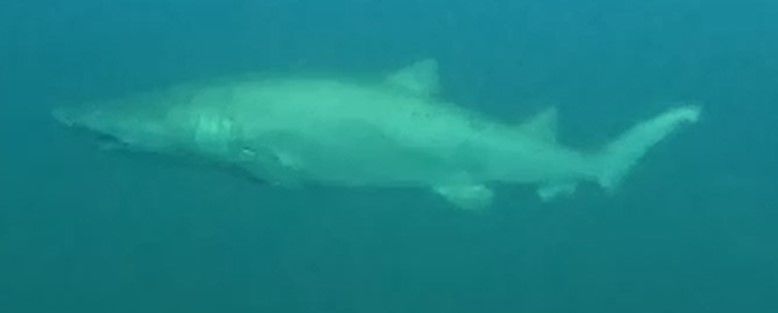 d1def4f8-b3f3-4c98-a79d-7ec74622c014