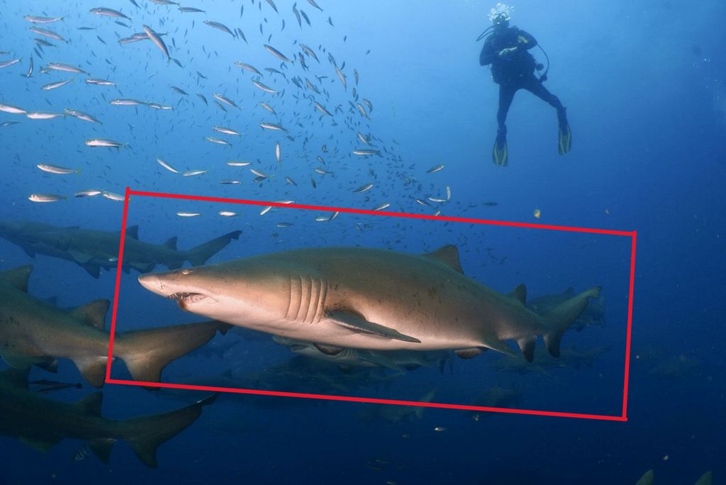 f2fca48e-cfee-483c-81a6-9d0c7ad9c37a