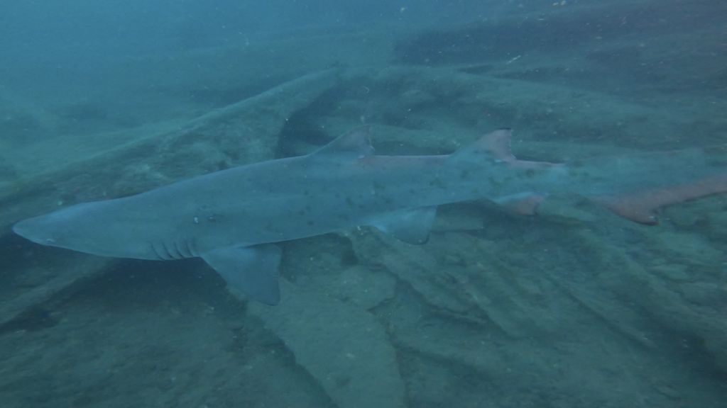 fc26aca1-523e-43ab-b2ee-a24f7f00eba4