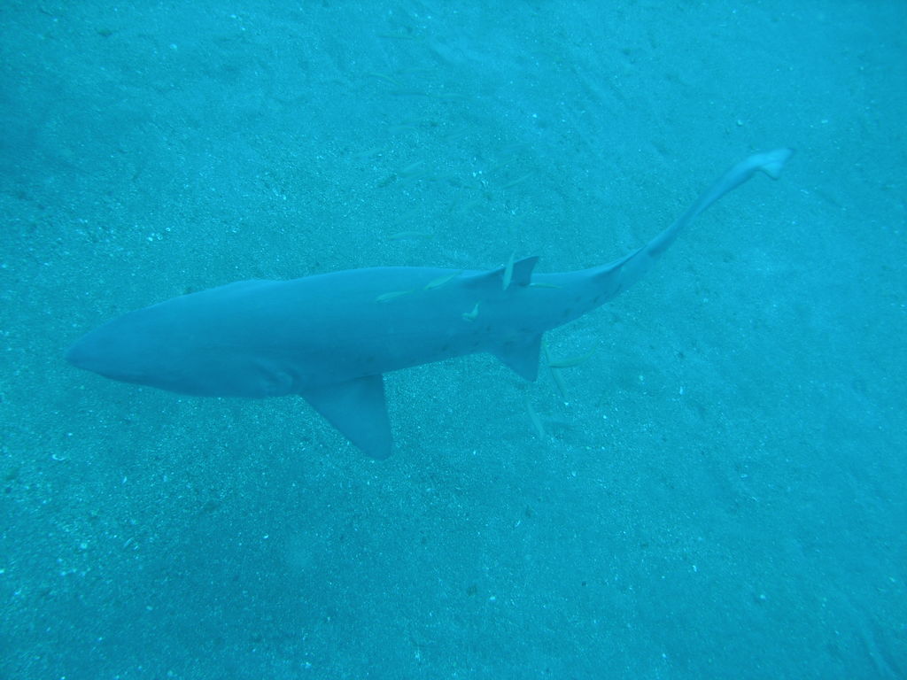 4e6bbe08-d328-4f00-ac6e-46c04b2a0da5