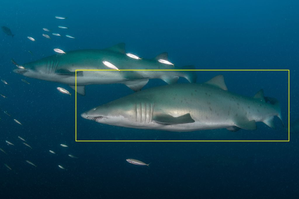 f4197a2a-7951-4cb6-957a-524ca7de666d