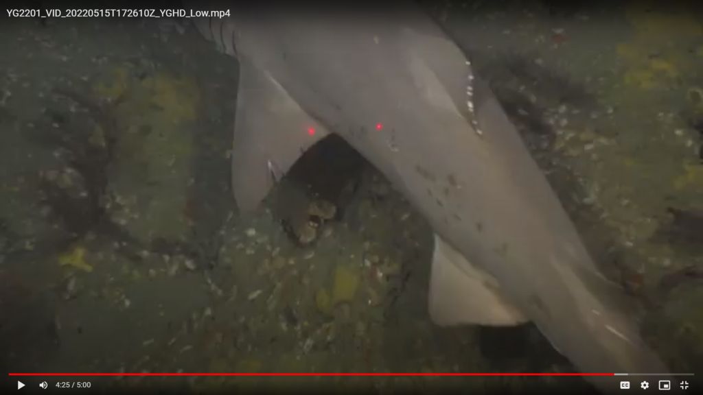 2ec87f02-6023-472c-a49b-3fa3e2912137