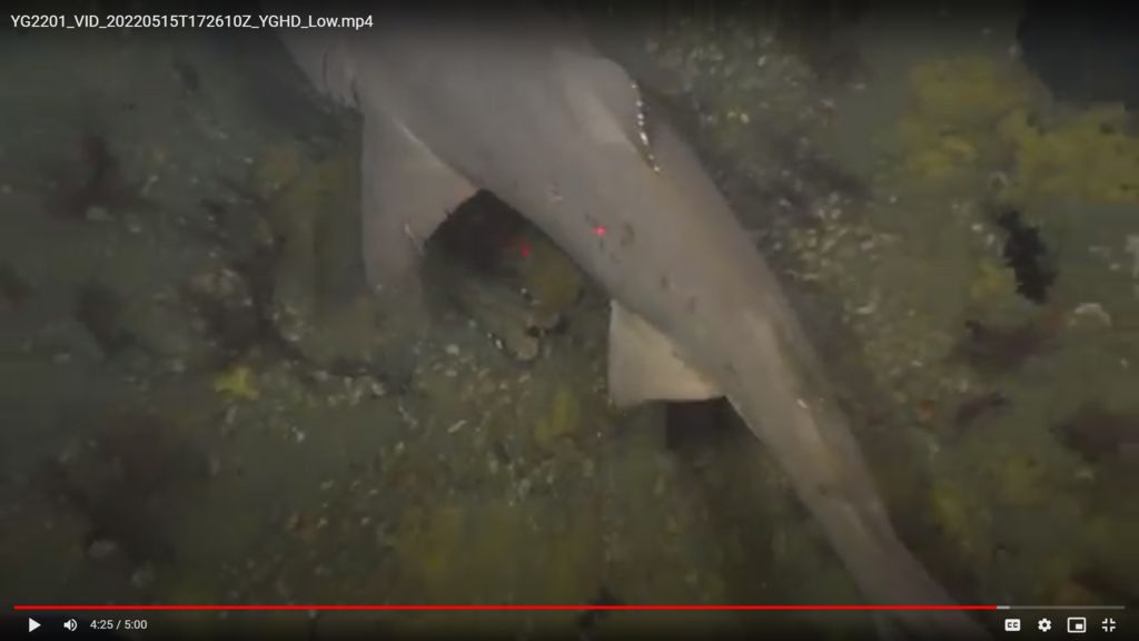 2ec87f02-6023-472c-a49b-3fa3e2912137