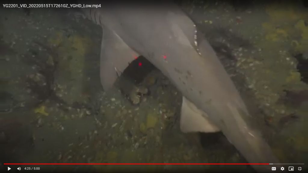 2ec87f02-6023-472c-a49b-3fa3e2912137