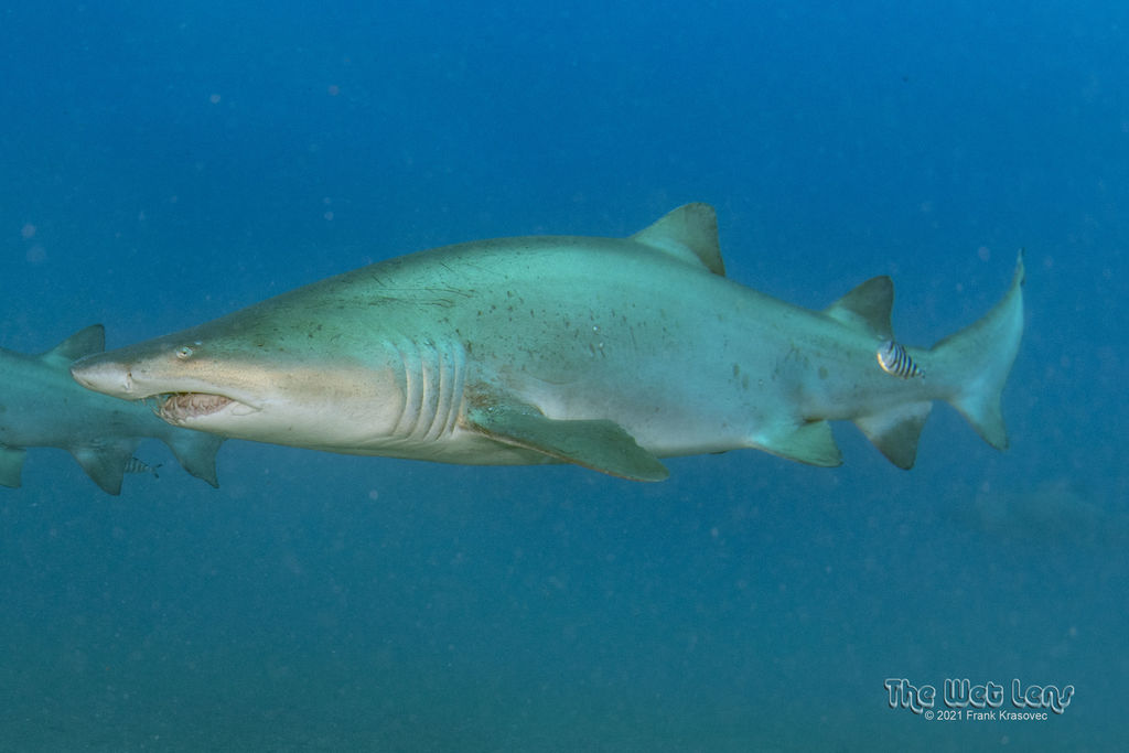 abbc4736-e8df-417f-b1fe-e8d26301c8c5