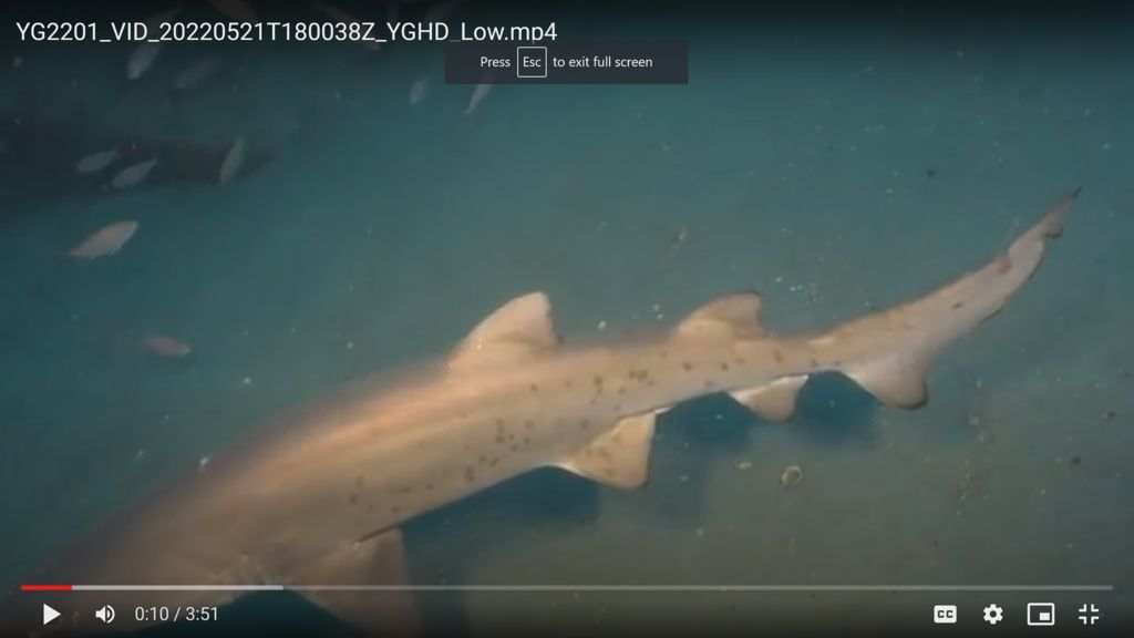 caaa546e-bb8e-4ae9-80b7-c3d1410dfa0c