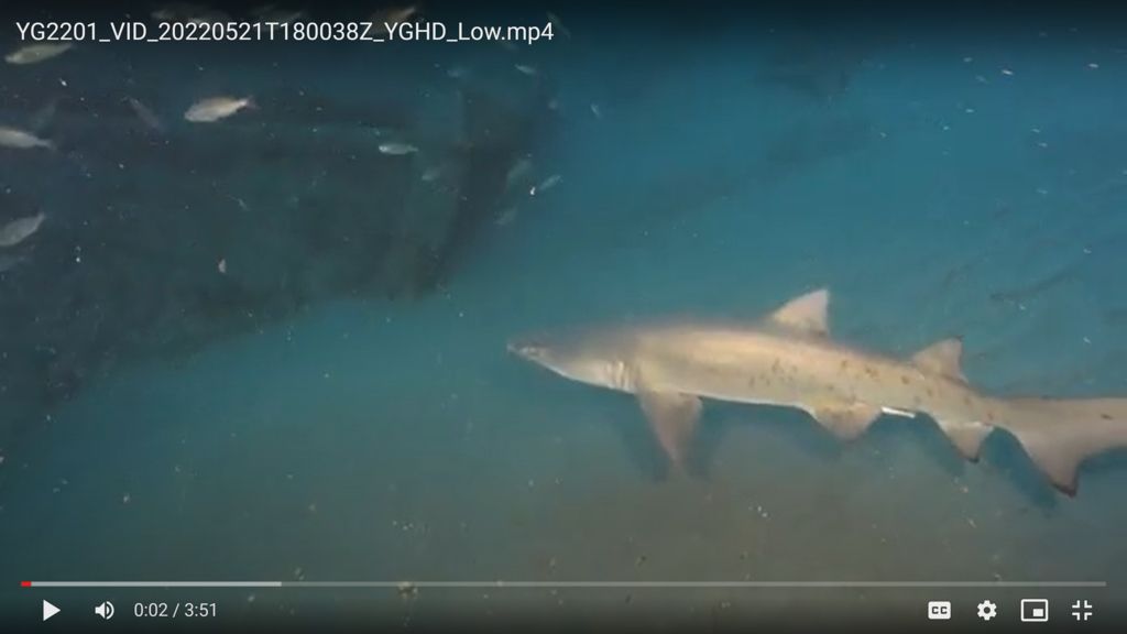 caaa546e-bb8e-4ae9-80b7-c3d1410dfa0c