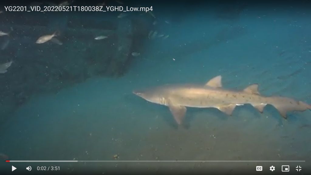 caaa546e-bb8e-4ae9-80b7-c3d1410dfa0c