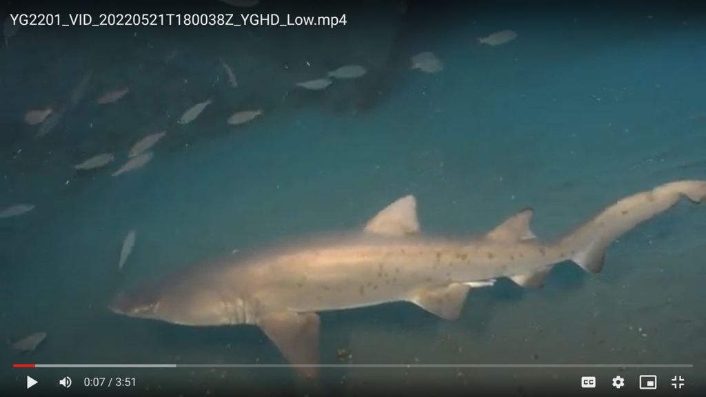 caaa546e-bb8e-4ae9-80b7-c3d1410dfa0c