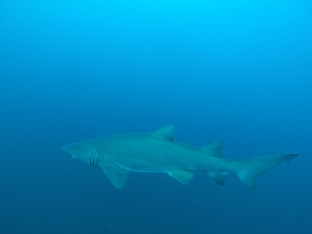 a8207afe-c267-4a80-91a2-6c8cbdffb46d