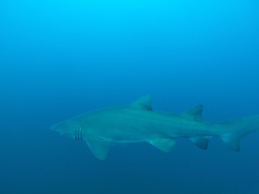 a8207afe-c267-4a80-91a2-6c8cbdffb46d