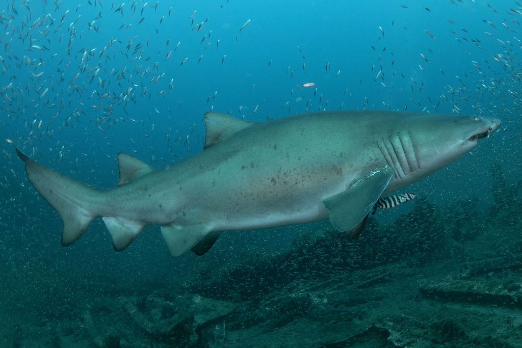 0b113de0-07c9-4885-b0eb-0ef3a8e26194