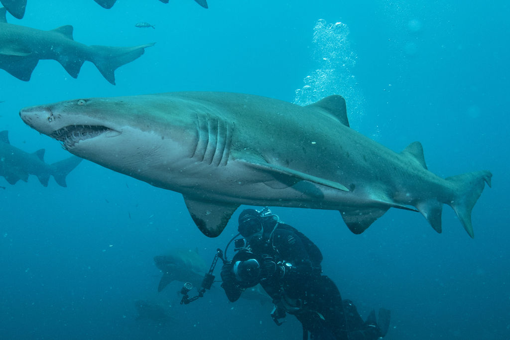 0b113de0-07c9-4885-b0eb-0ef3a8e26194