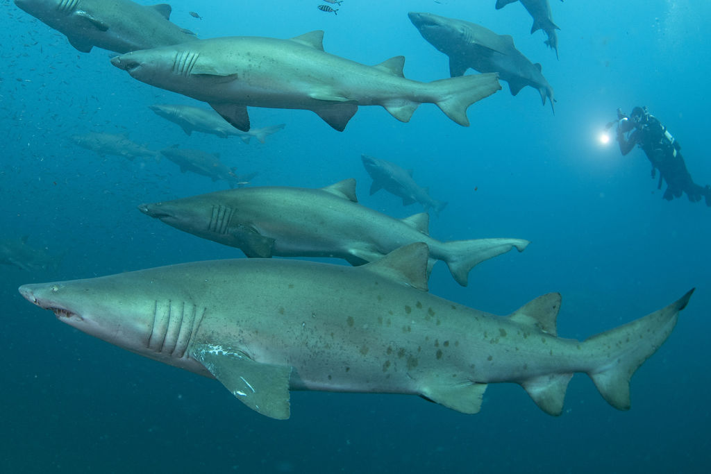 0b113de0-07c9-4885-b0eb-0ef3a8e26194