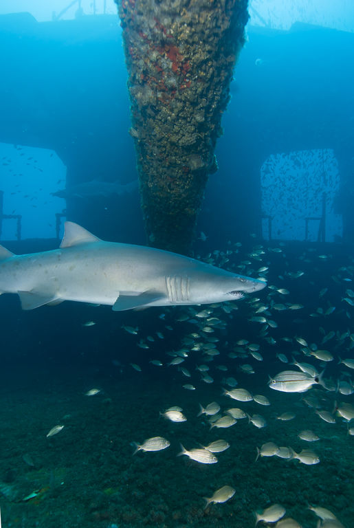 b0816f8e-a05e-414d-aca1-61a14cd431f7