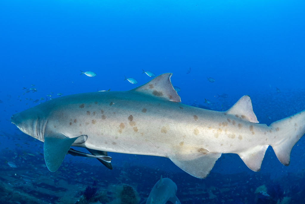 48d95392-88af-449f-b2bf-e8dda20e7242