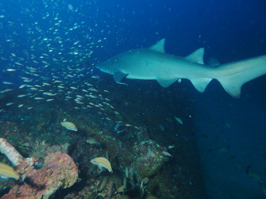 18989b7b-e68d-4d8e-87e0-680b94beeba9