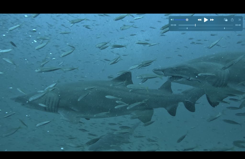 9bbd7153-44f1-45a1-b466-7ff6192b5069