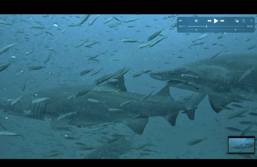 9bbd7153-44f1-45a1-b466-7ff6192b5069