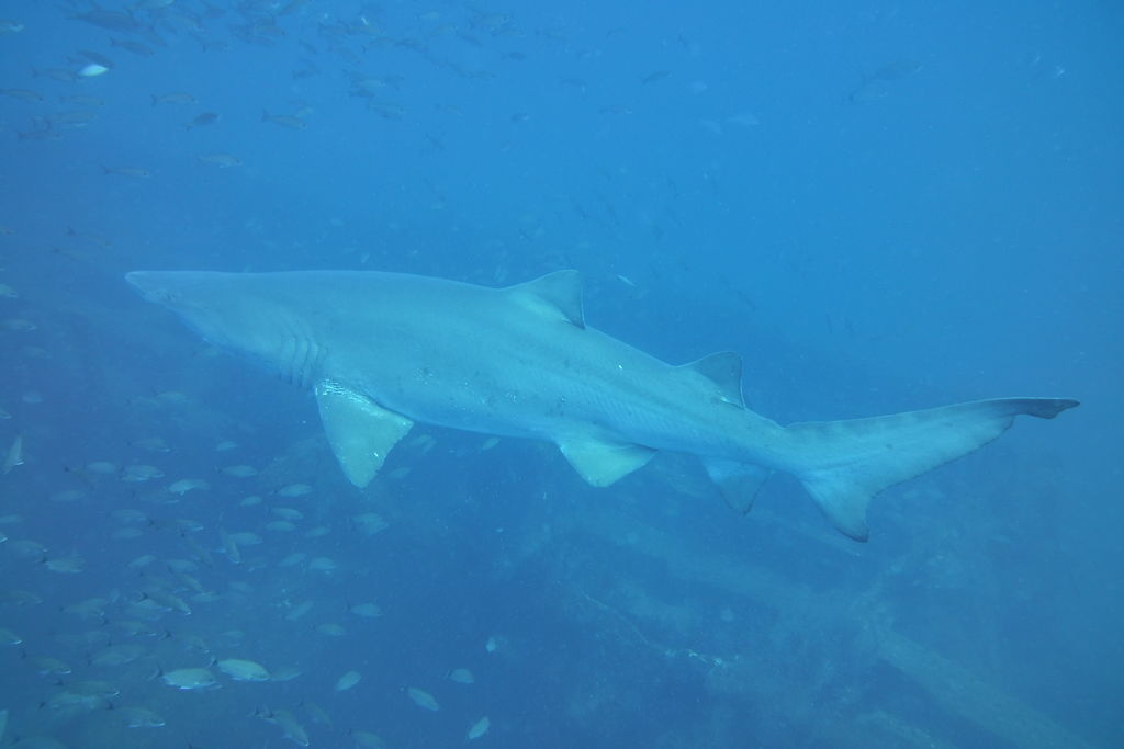 5aefb7c0-51c8-492c-aa87-e32b5cdfb5d0