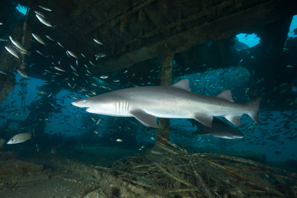 bd1376f2-ece1-4af6-84d5-7e3aced9f1f8