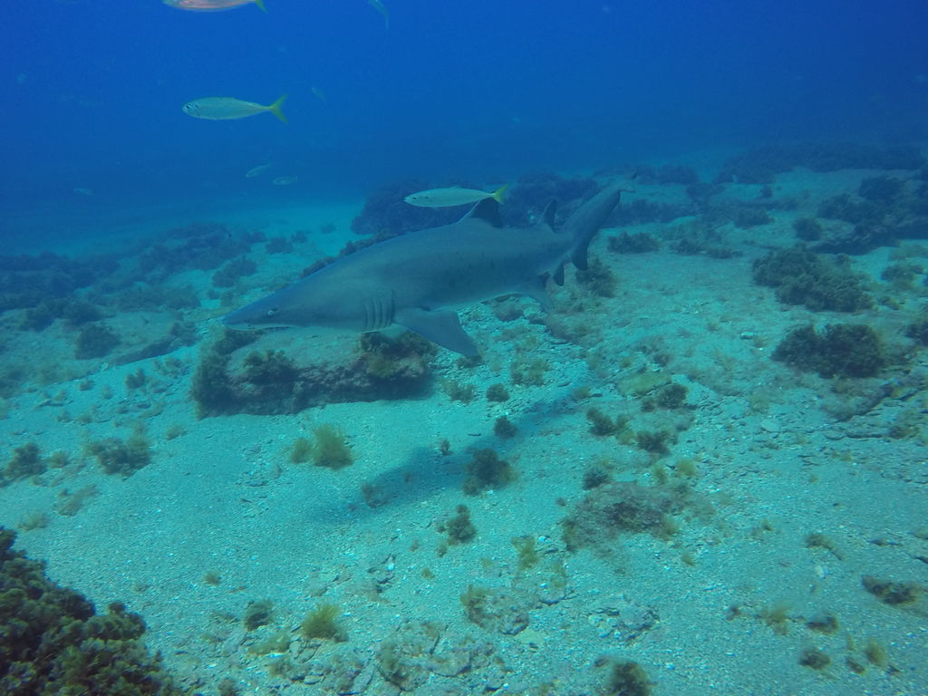 5915eedf-b15f-48a1-93e9-2526f8739557