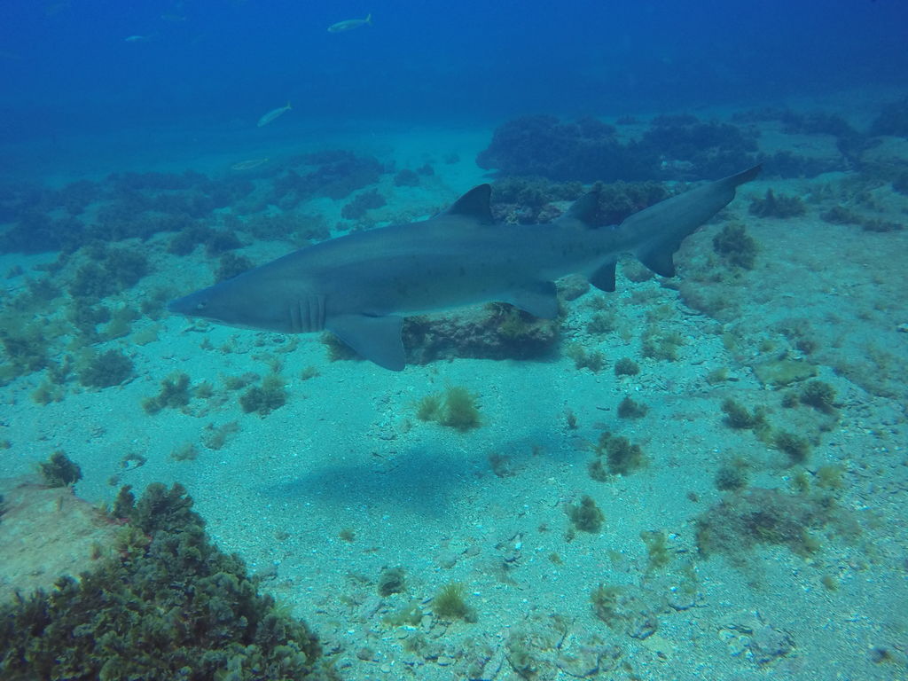 5915eedf-b15f-48a1-93e9-2526f8739557