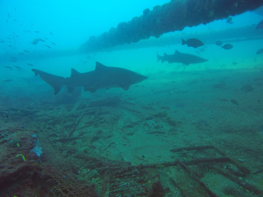 5915eedf-b15f-48a1-93e9-2526f8739557