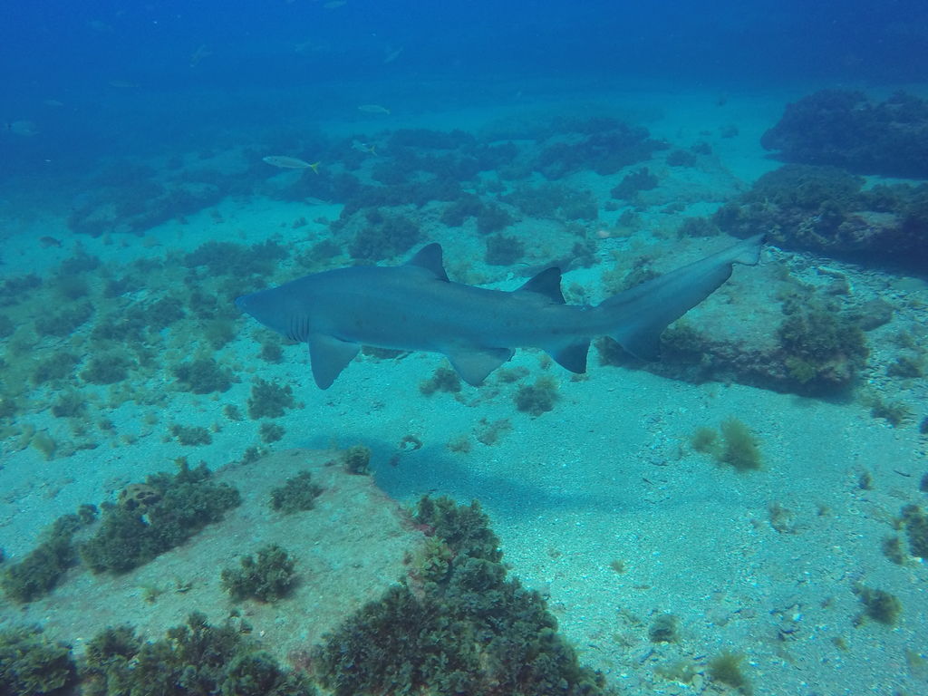 5915eedf-b15f-48a1-93e9-2526f8739557