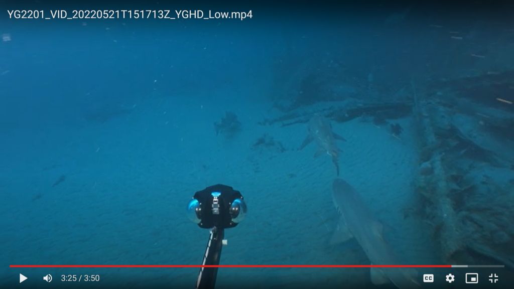 84f8d383-a17d-4f63-bf4a-271d5a05abe2