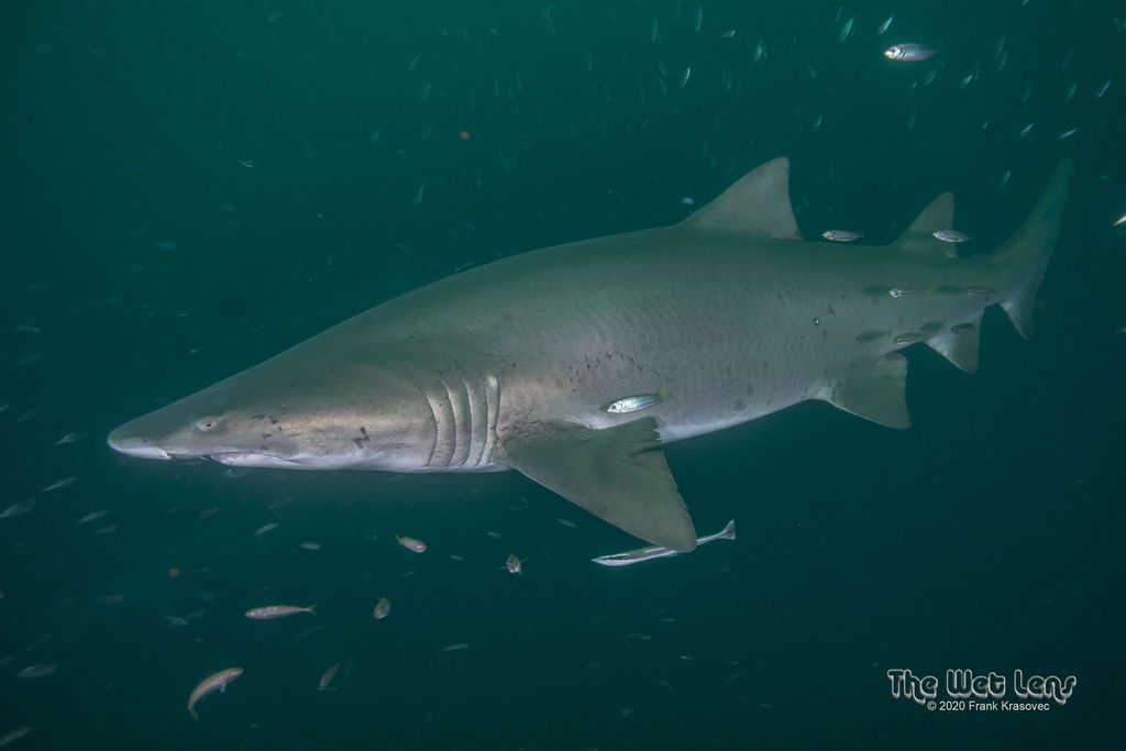 346ce665-1f2e-4a1c-a3fa-24d96c0663e1