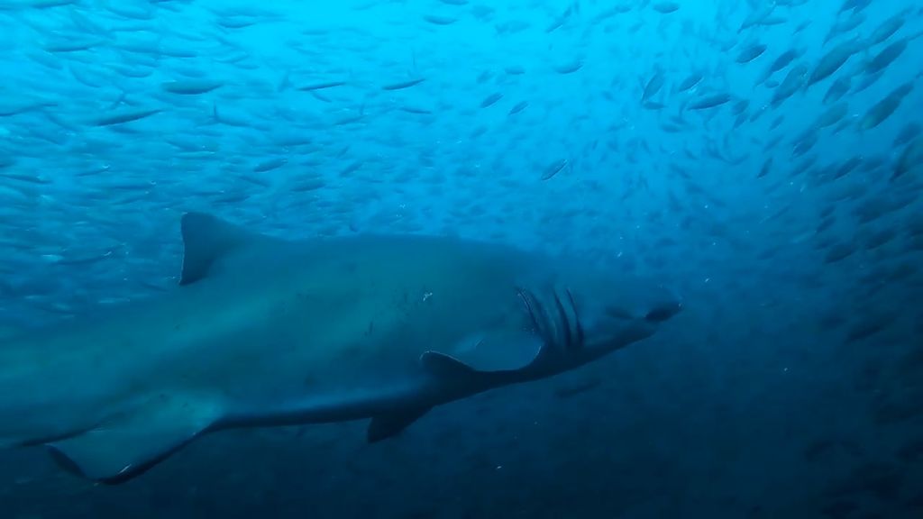 aafb3ce2-88d2-4210-88f6-a57abda3a9d6