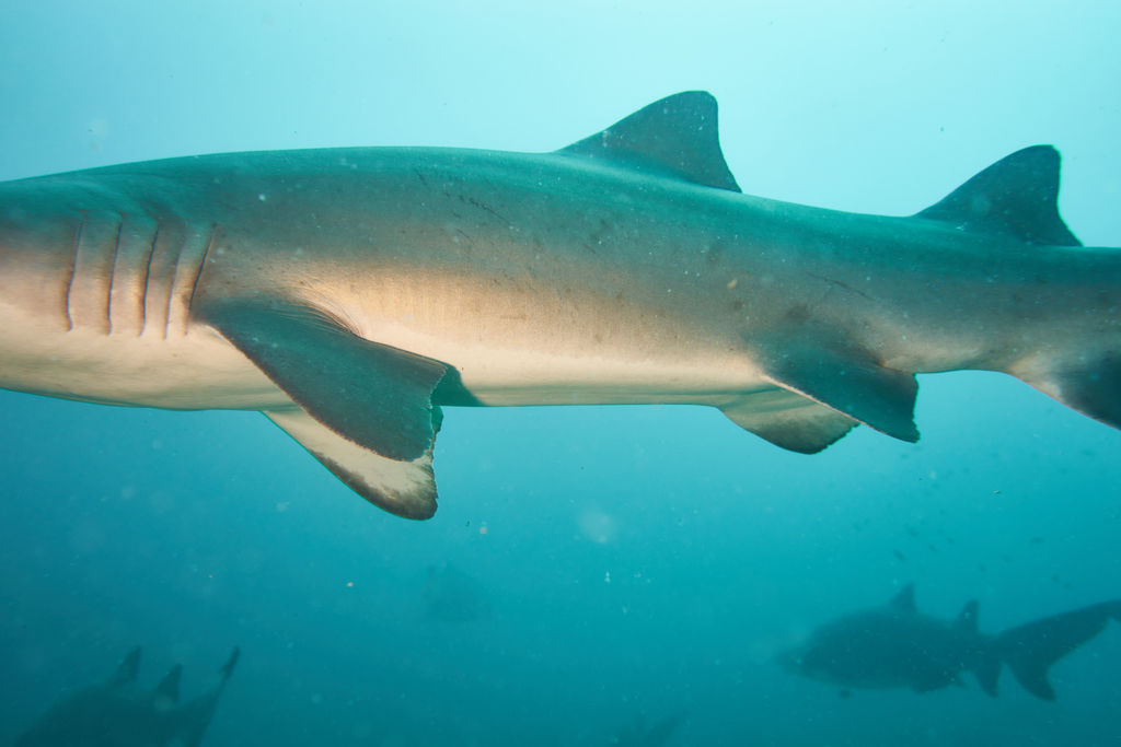 67343b45-9784-42be-a35c-113e1d868061