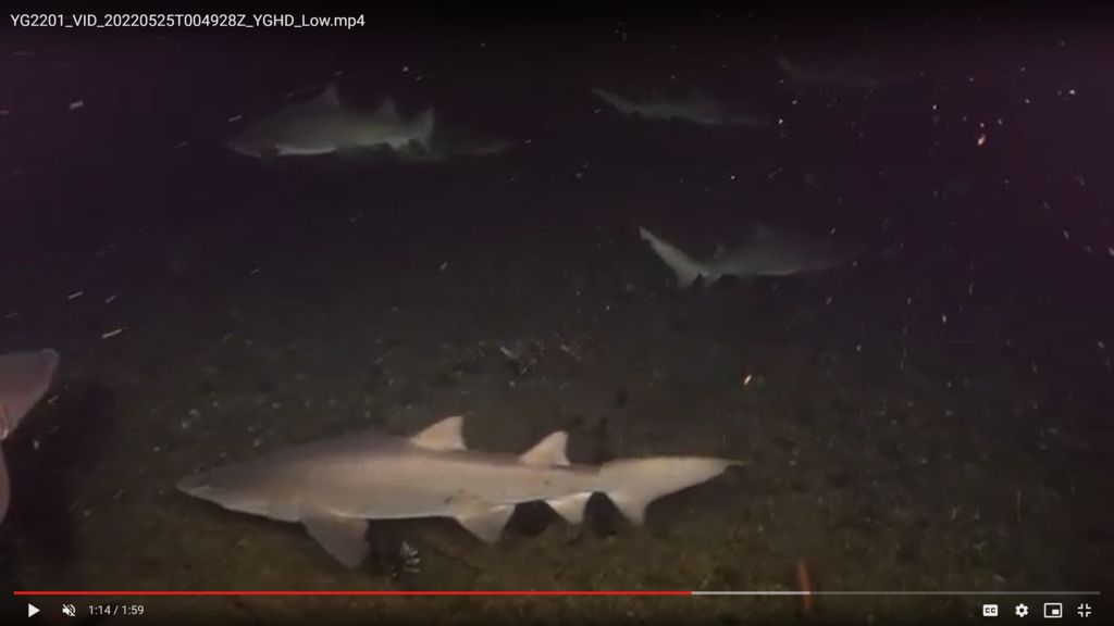 9c29898a-63a5-44a8-bf9b-1072653c5d8c