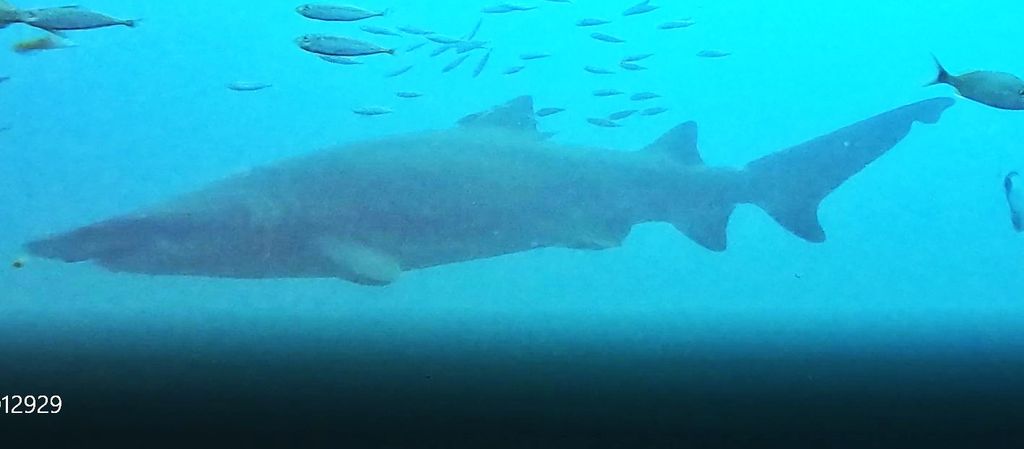 37b8f252-04e9-4778-8870-52889b33fac7