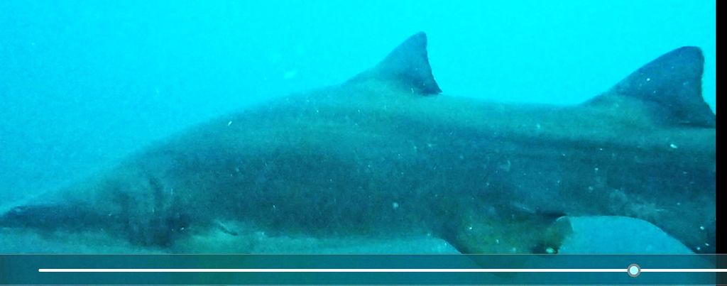 37b8f252-04e9-4778-8870-52889b33fac7