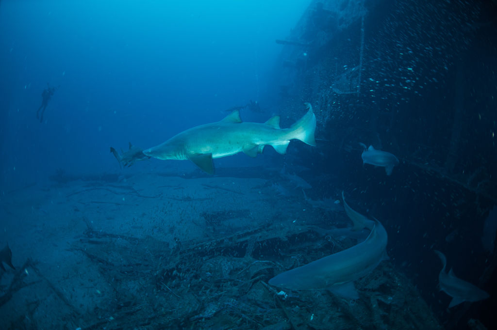 a11ca9c2-09ce-4ec3-9690-7ed6490de63f