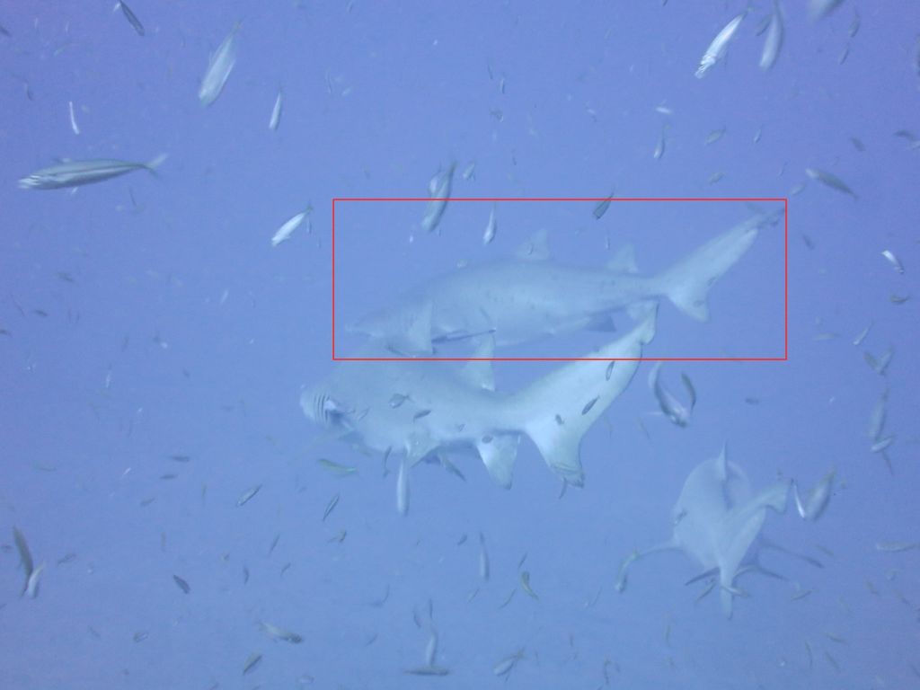 5a6f8041-36b7-48b5-9f3b-066bc3ab8b5d