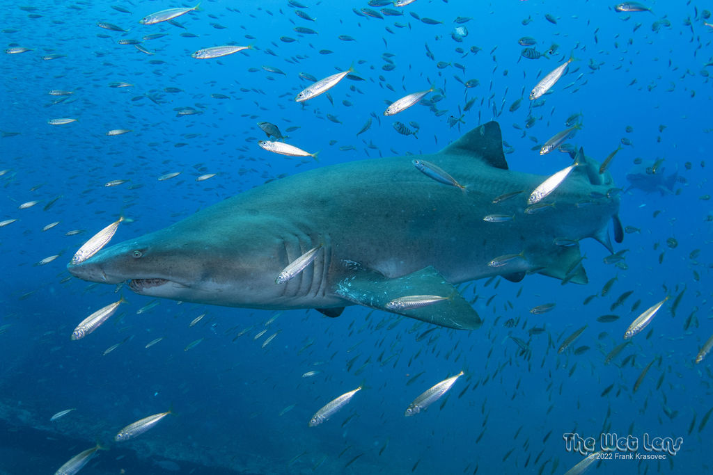 4601b7cf-149c-4238-bf08-3c35d893549f